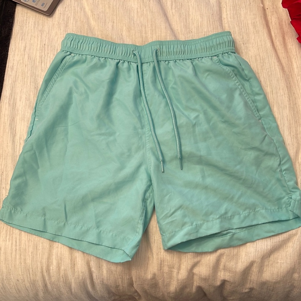 Turquoise swim shorts